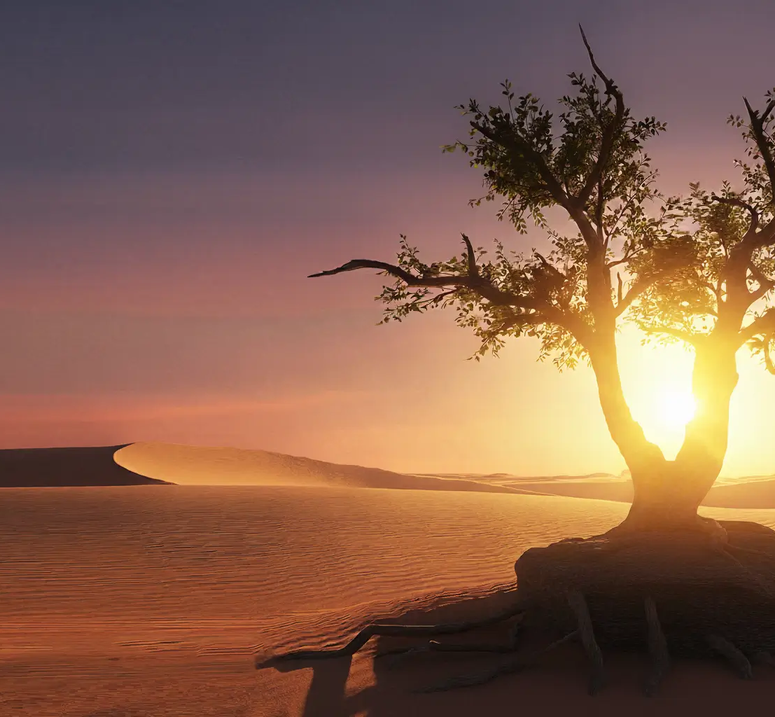 Literature gallery image 2