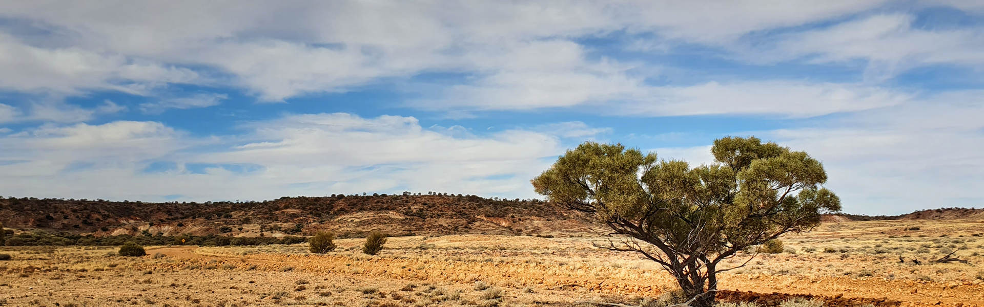 نتيجة البحث